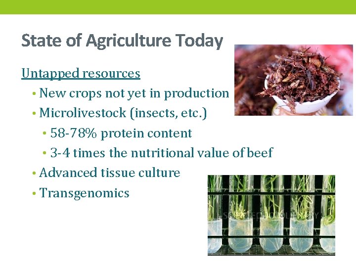 State of Agriculture Today Untapped resources • New crops not yet in production •