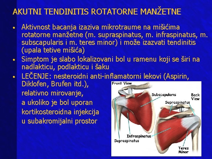 AKUTNI TENDINITIS ROTATORNE MANŽETNE • • • Aktivnost bacanja izaziva mikrotraume na mišićima rotatorne