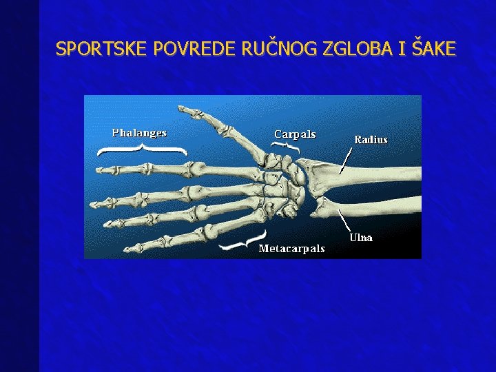 SPORTSKE POVREDE RUČNOG ZGLOBA I ŠAKE 