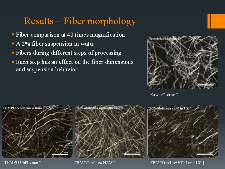 Results – Fiber morphology § Fiber comparison at 40 times magnification § A 2%
