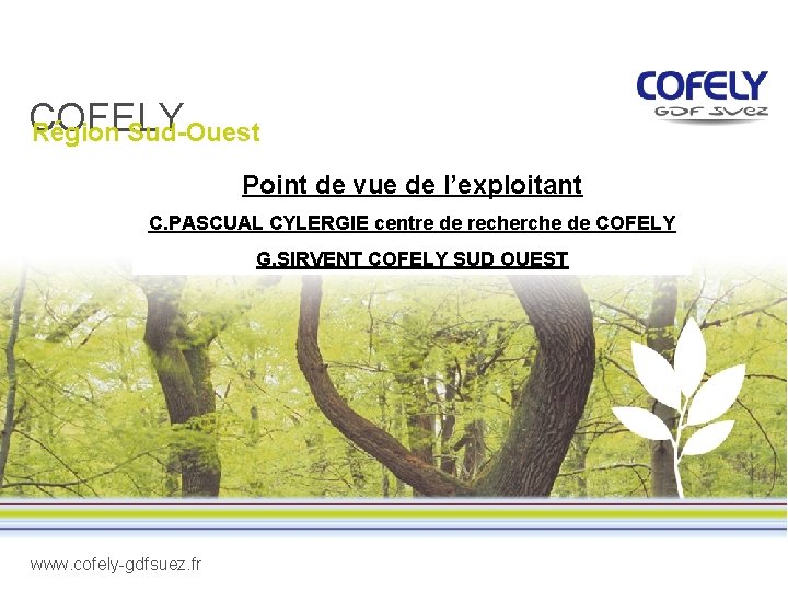 COFELY Région Sud-Ouest Point de vue de l’exploitant C. PASCUAL CYLERGIE centre de recherche COFELY Région Sud-Ouest Point de vue de l’exploitant C. PASCUAL CYLERGIE centre de recherche