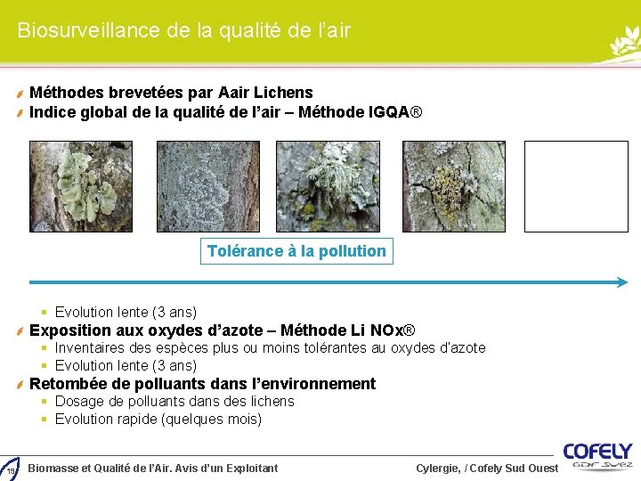 Biosurveillance de la qualité de l’air Méthodes brevetées par Aair Lichens Indice global de Biosurveillance de la qualité de l’air Méthodes brevetées par Aair Lichens Indice global de