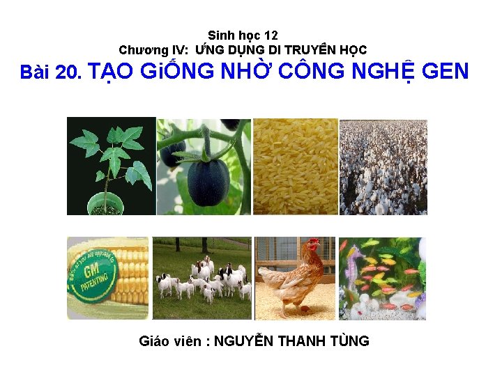 Sinh học 12 Chương IV: Ư NG DU NG DI TRUYÊ N HO C