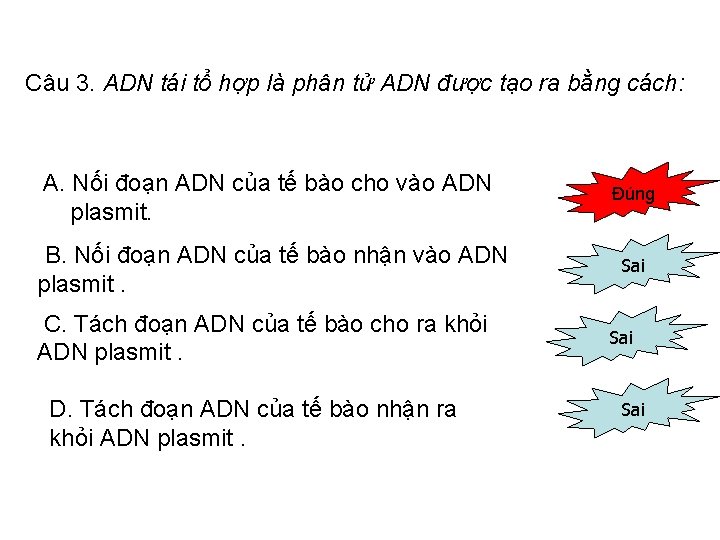 Câu 3. ADN tái tổ hợp là phân tử ADN được tạo ra bằng