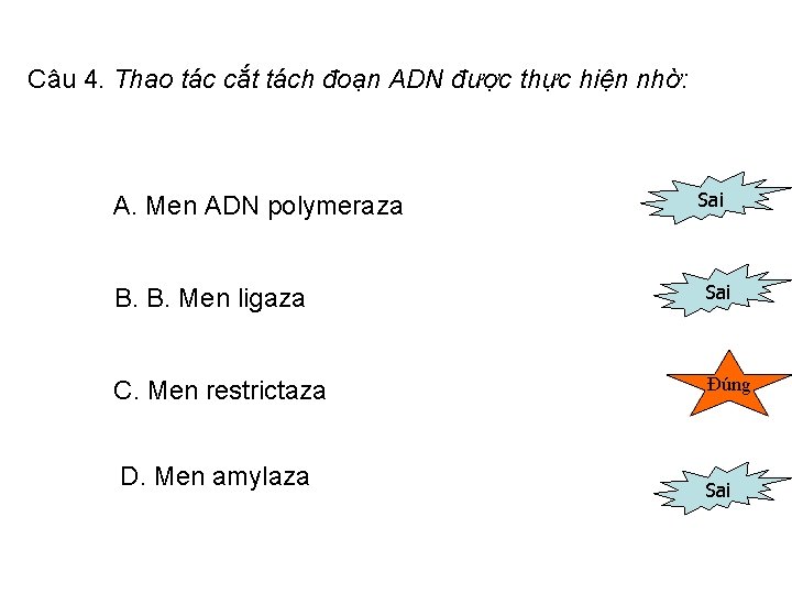 Câu 4. Thao tác cắt tách đoạn ADN được thực hiện nhờ: A. Men