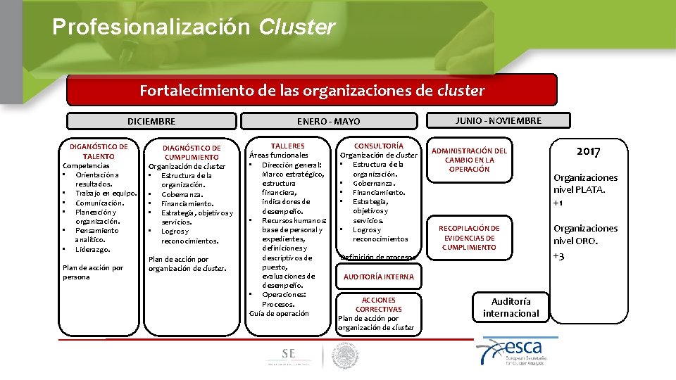 Profesionalización Cluster Fortalecimiento de las organizaciones de cluster DICIEMBRE DIGANÓSTICO DE TALENTO Competencias •
