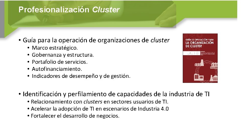 Profesionalización Cluster Evolución • Guía para la operación de organizaciones de cluster • •