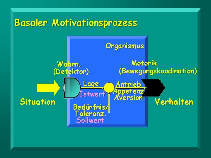 Basaler Motivationsprozess Organismus Wahrn. (Detektor) Situation Motorik (Bewegungskoodination) Lage Antrieb Istwert Appetenz Aversion Bedürfnis/