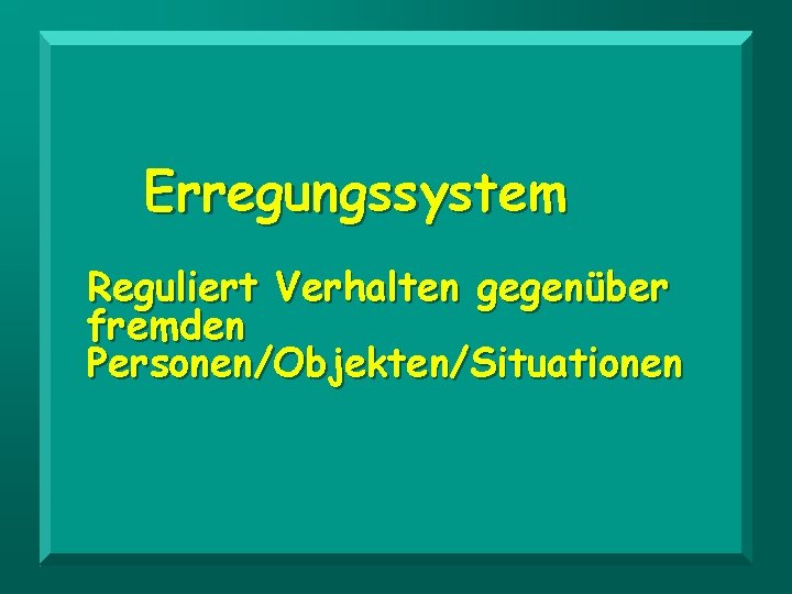 Erregungssystem Reguliert Verhalten gegenüber fremden Personen/Objekten/Situationen 