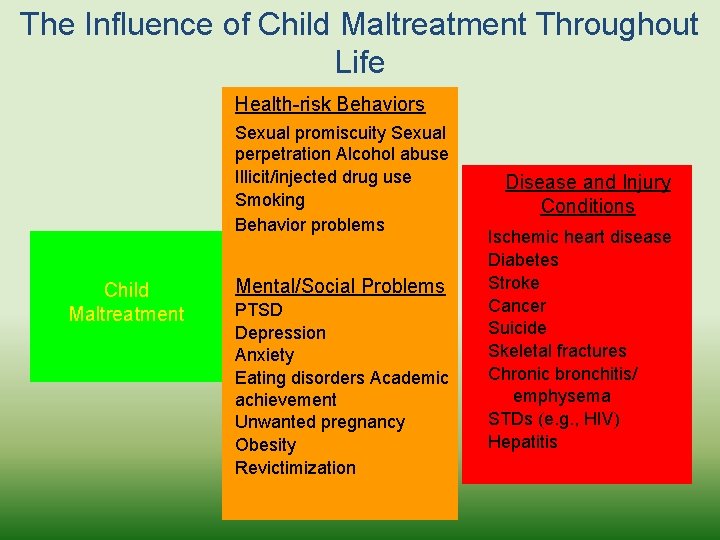 The Influence of Child Maltreatment Throughout Life Health-risk Behaviors Sexual promiscuity Sexual perpetration Alcohol