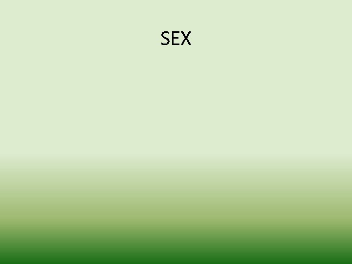 SEX 