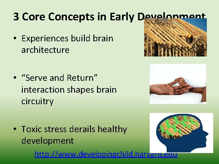 3 Core Concepts in Early Development • Experiences build brain architecture • “Serve and