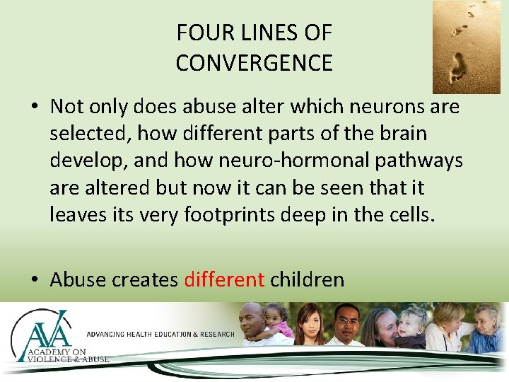 FOUR LINES OF CONVERGENCE • Not only does abuse alter which neurons are selected,