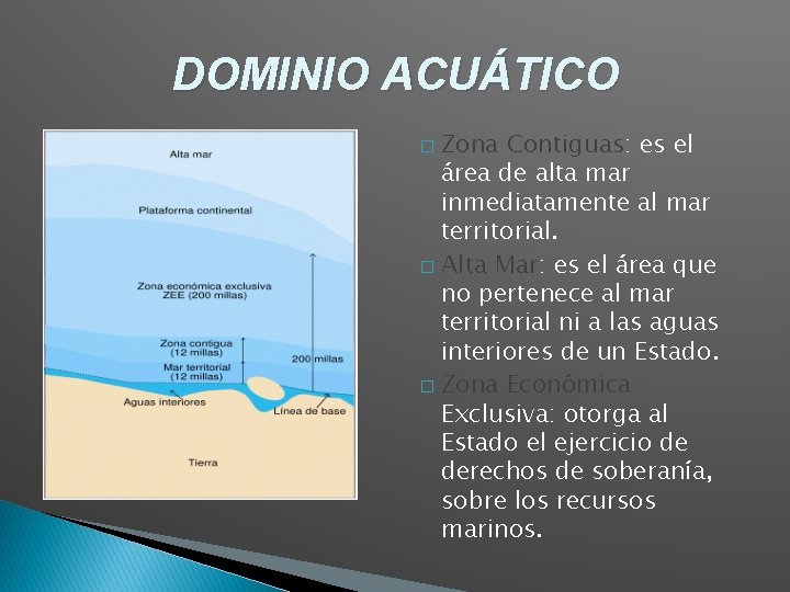 DOMINIO ACUÁTICO Zona Contiguas: es el área de alta mar inmediatamente al mar territorial.