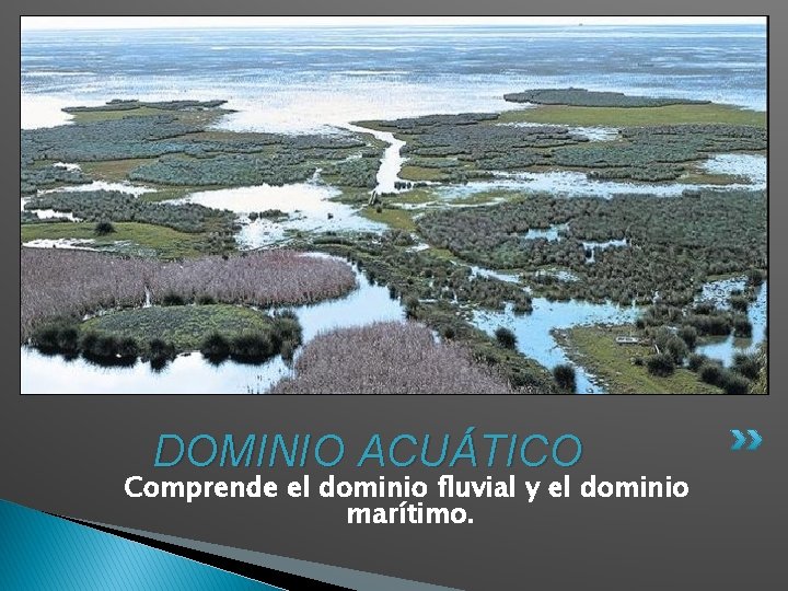 DOMINIO ACUÁTICO Comprende el dominio fluvial y el dominio marítimo. 