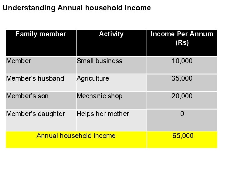 Understanding Annual household income Family member Activity Income Per Annum (Rs) Member Small business