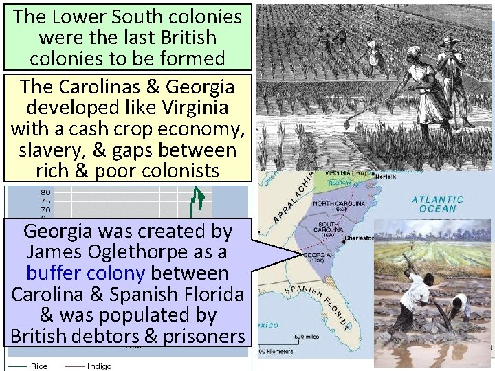 The Lower South colonies were the last British colonies to be formed The Carolinas