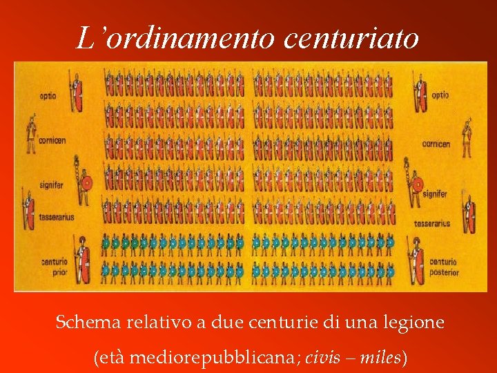 L’ordinamento centuriato Schema relativo a due centurie di una legione (età mediorepubblicana; civis –