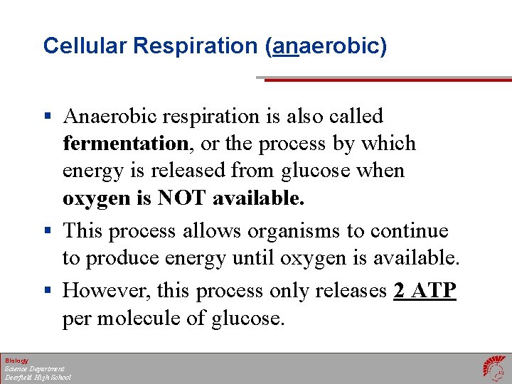 Cellular Respiration (anaerobic) § Anaerobic respiration is also called fermentation, or the process by