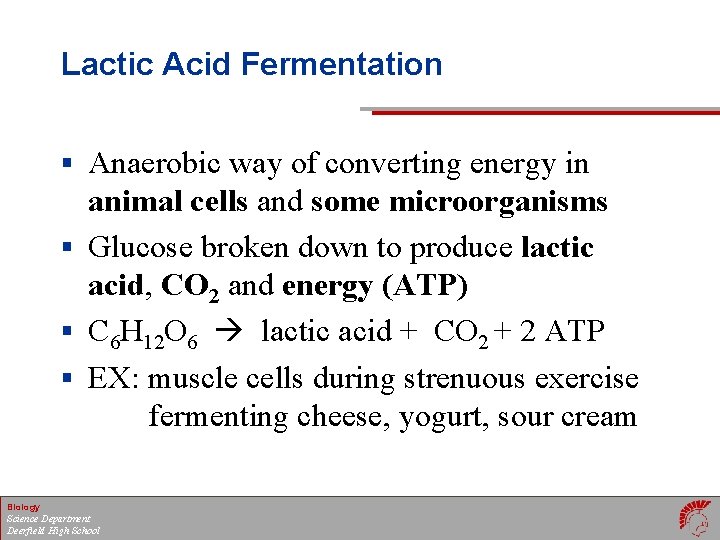 Lactic Acid Fermentation § Anaerobic way of converting energy in animal cells and some