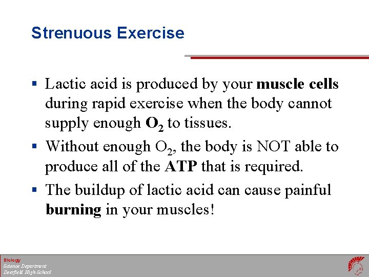 Strenuous Exercise § Lactic acid is produced by your muscle cells during rapid exercise