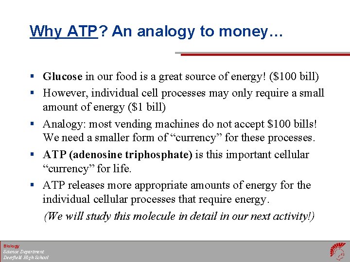Why ATP? An analogy to money… § Glucose in our food is a great