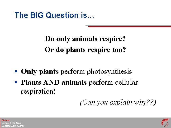 The BIG Question is… Do only animals respire? Or do plants respire too? §