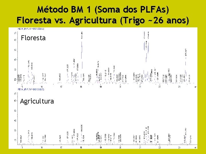 Método BM 1 (Soma dos PLFAs) Floresta vs. Agricultura (Trigo ~26 anos) Floresta Agricultura