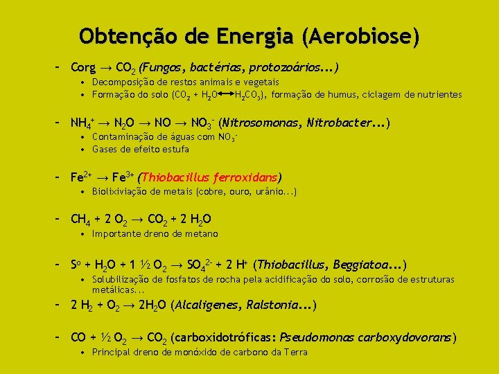 Obtenção de Energia (Aerobiose) – Corg → CO 2 (Fungos, bactérias, protozoários. . .