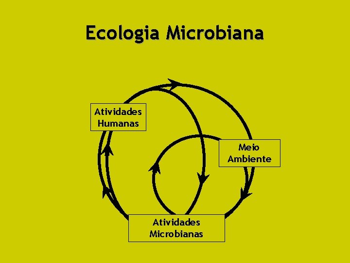 Ecologia Microbiana Atividades Humanas Meio Ambiente Atividades Microbianas 