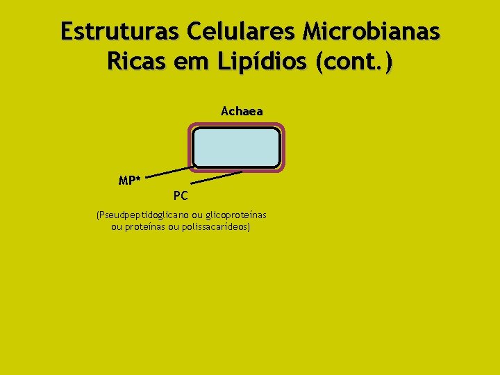 Estruturas Celulares Microbianas Ricas em Lipídios (cont. ) Achaea MP* PC (Pseudpeptidoglicano ou glicoproteínas