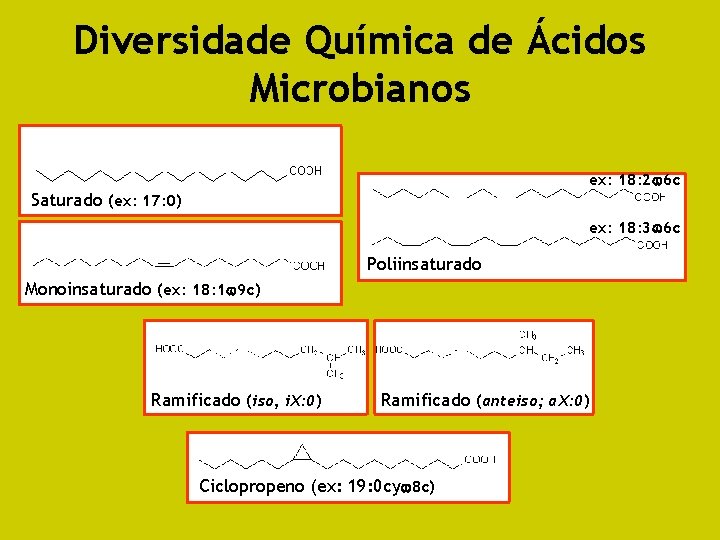 Diversidade Química de Ácidos Microbianos ex: 18: 2 6 c Saturado (ex: 17: 0)