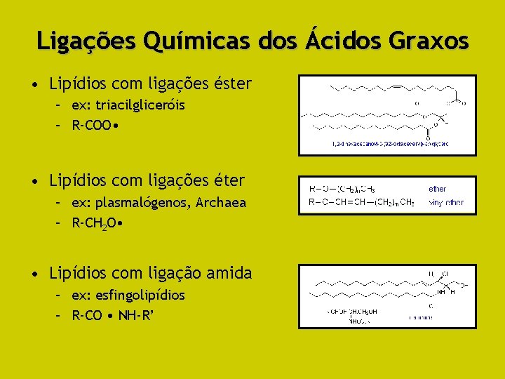 Ligações Químicas dos Ácidos Graxos • Lipídios com ligações éster – ex: triacilgliceróis –