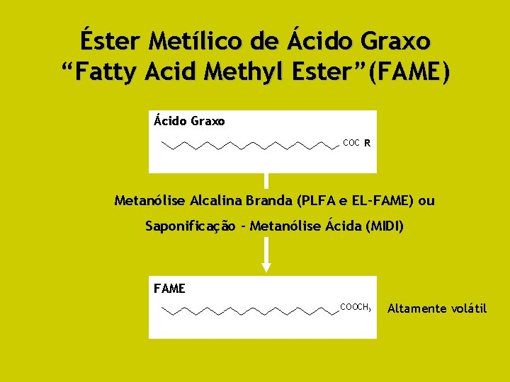 Éster Metílico de Ácido Graxo “Fatty Acid Methyl Ester”(FAME) Ácido Graxo COOHR Metanólise Alcalina