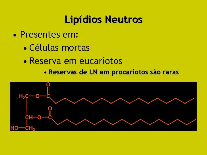 Lipídios Neutros • Presentes em: • Células mortas • Reserva em eucariotos • Reservas