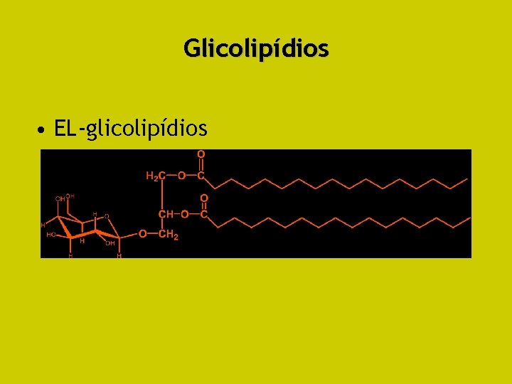 Glicolipídios • EL-glicolipídios 