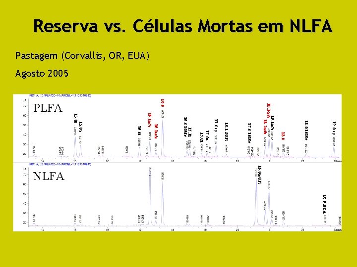  Reserva vs. Células Mortas em NLFA Pastagem (Corvallis, OR, EUA) Agosto 2005 19: