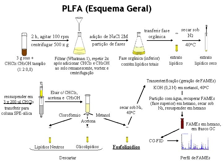 PLFA (Esquema Geral) 2 h, agitar 100 rpm adição de Na. Cl 2 M