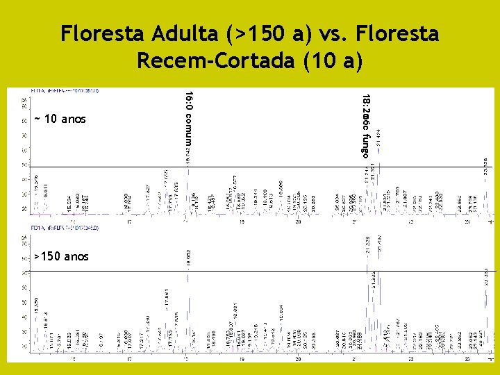 Floresta Adulta (>150 a) vs. Floresta Recem-Cortada (10 a) 18: 2 6 c fungo