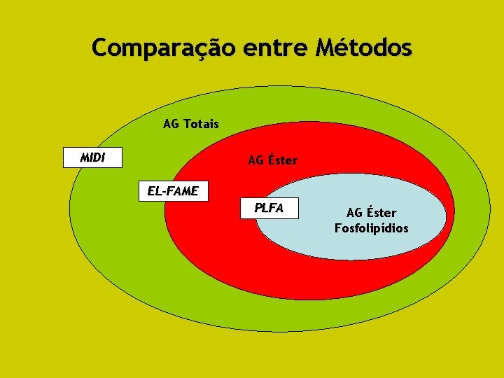 Comparação entre Métodos AG Totais MIDI AG Éster EL-FAME PLFA AG Éster Fosfolipídios 