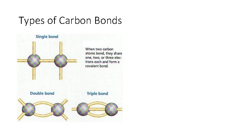 Types of Carbon Bonds 