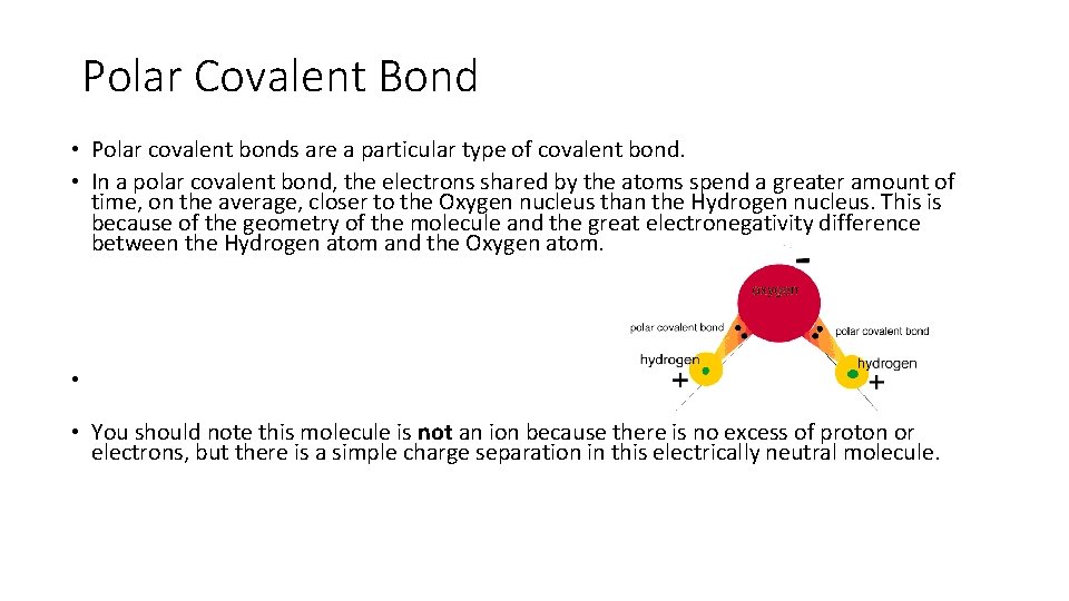 Polar Covalent Bond • Polar covalent bonds are a particular type of covalent bond.