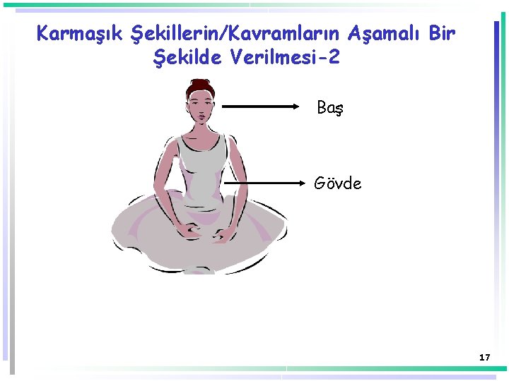 Karmaşık Şekillerin/Kavramların Aşamalı Bir Şekilde Verilmesi-2 Baş Gövde 17 