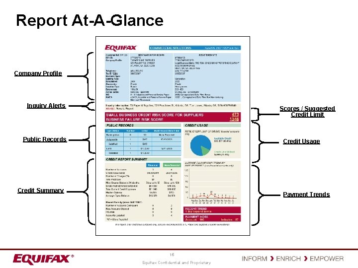 Report At-A-Glance Company Profile Inquiry Alerts Scores / Suggested Credit Limit Public Records Credit