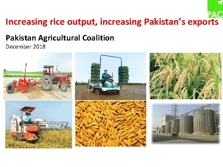 Increasing rice output, increasing Pakistan’s exports Pakistan Agricultural Coalition December 2018 