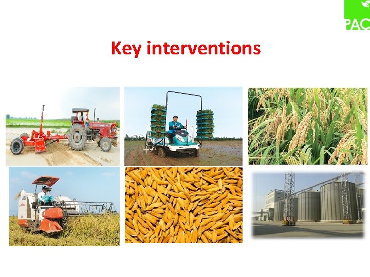Key interventions 