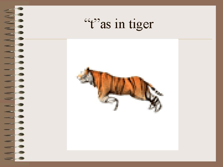 “t”as in tiger 