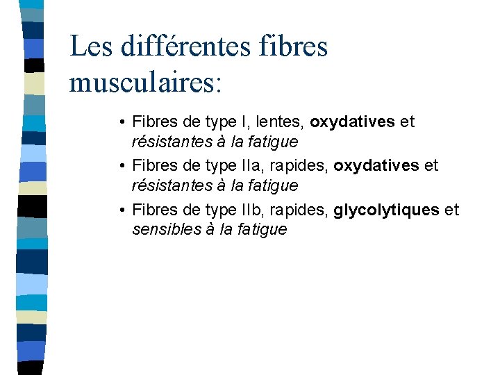 Les différentes fibres musculaires: • Fibres de type I, lentes, oxydatives et résistantes à