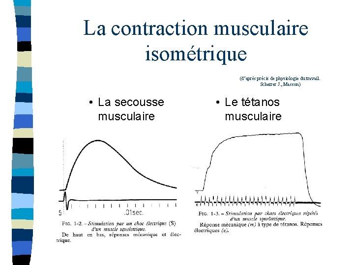 La contraction musculaire isométrique (d’après précis de physiologie du travail. Scherrer J. , Masson)