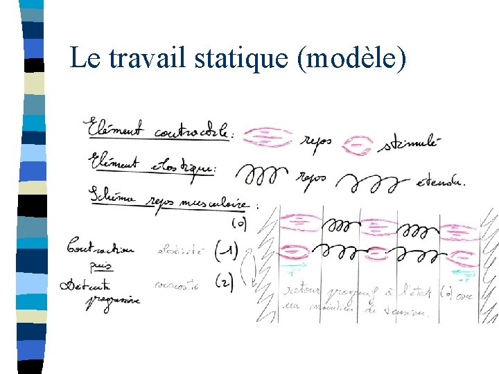 Le travail statique (modèle) 